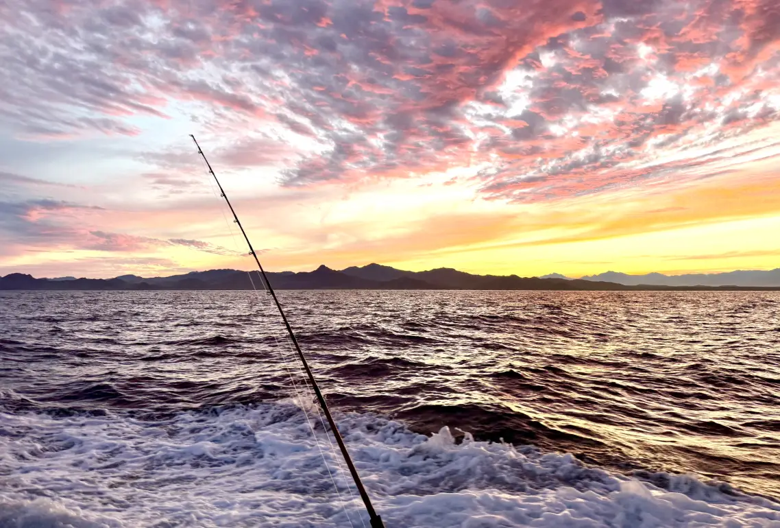 Tours en La Paz, Isla Espíritu Santo, Playa Balandra, El Tecolote, La Lobera, XBaja