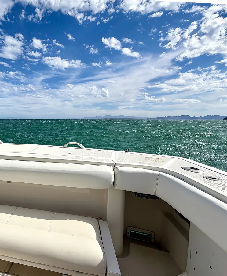 1992 Tiara Yachts 4300 Open, XBaja, Tours La Paz, B.C.S.