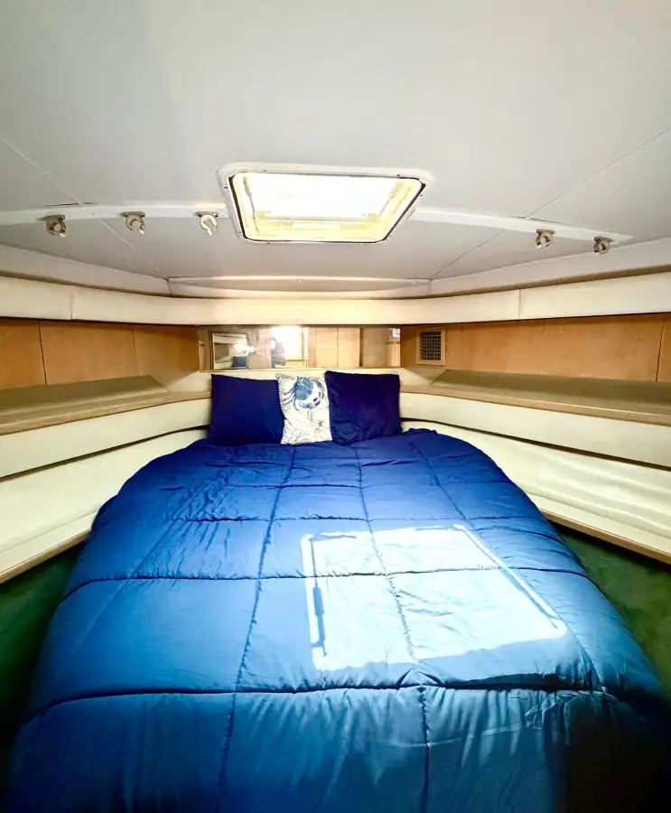 1992 Tiara Yachts 4300 Open, XBaja, Tours La Paz, B.C.S.