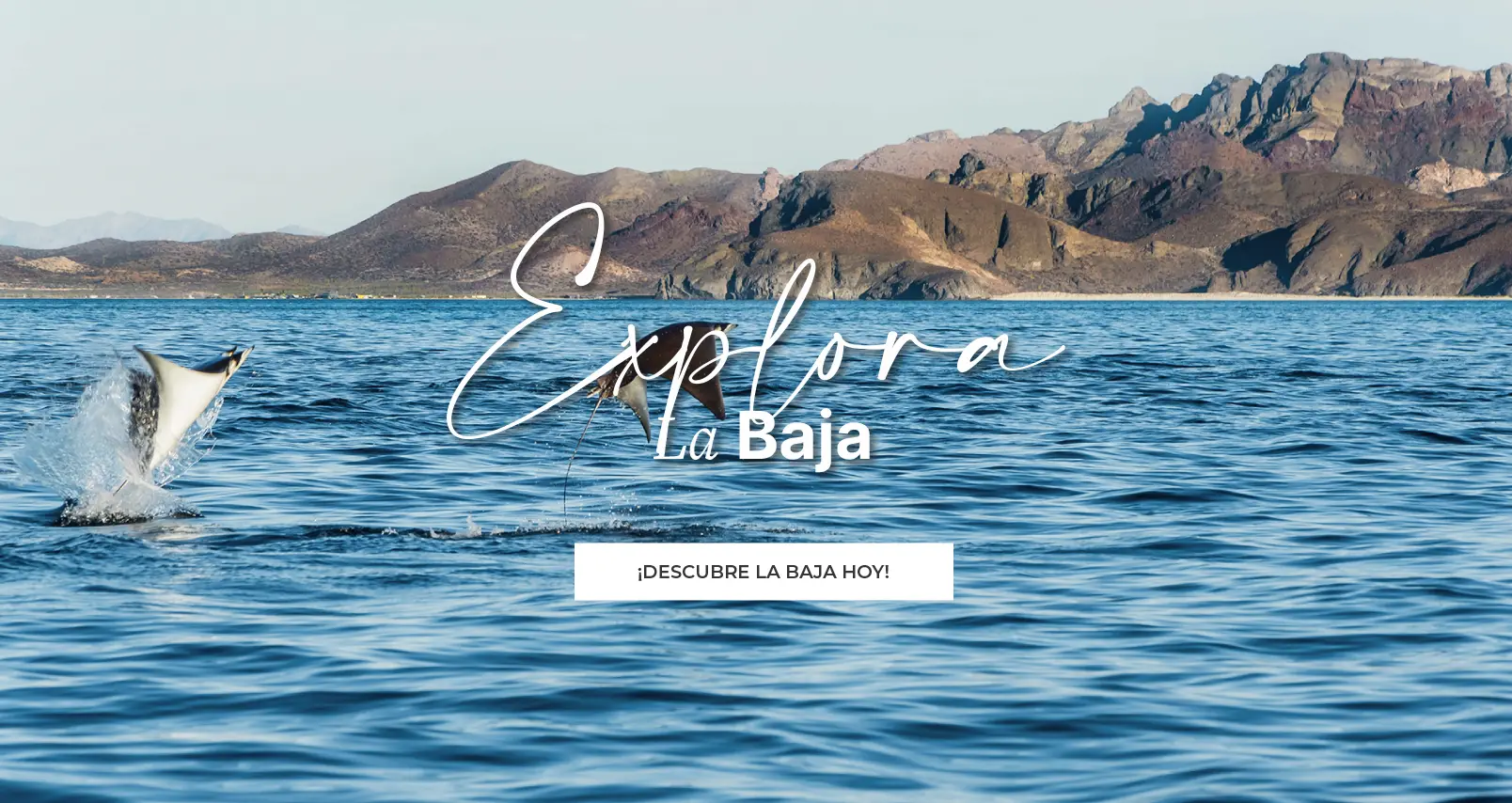 Explora, X Baja Activities