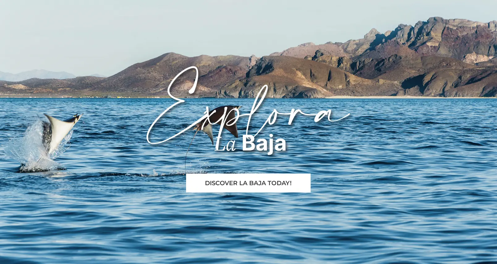 Explore, X Baja Activities