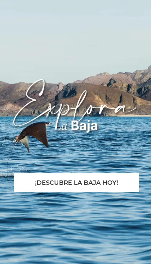 Explora, X Baja Activities
