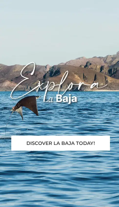 Explore, X Baja Activities