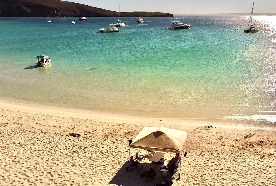 Tours en La Paz, Isla Espíritu Santo, Playa Balandra, El Tecolote, La Lobera, XBaja