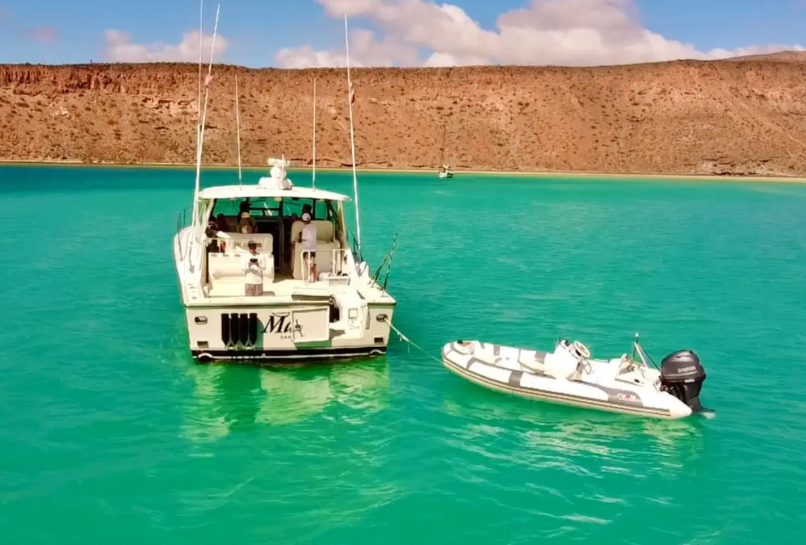 Tours en La Paz, Isla Espíritu Santo, Playa Balandra, El Tecolote, La Lobera, XBaja